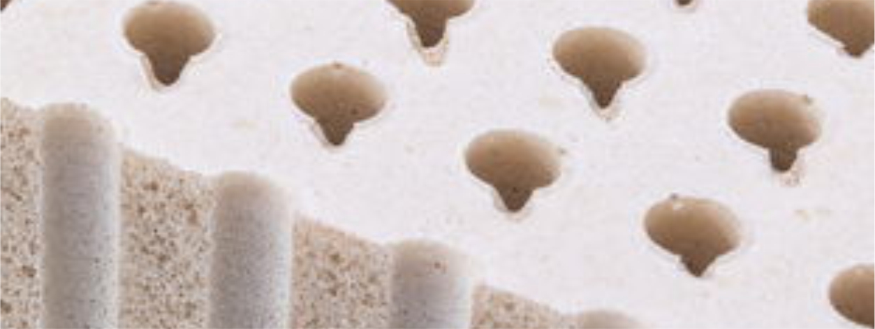 San Francisco Electropedid organic latex mattress
